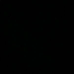 Meet your Posher, Jada